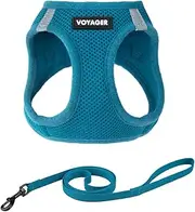 Voyager Step-in Air Cat Leash Harness Set - All Weather Mesh, Step in Vest Harness for Small and Large Cats by Best Pet Supplies - Turquoise, M (Chest 15-17")