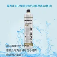 在飛比找PChome商店街優惠-愛惠浦 Everpure BH2濾心 適用:QL3-BH2 