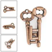 1x Chinese Intelligence Toy Brain Teaser Game Kids Adults Puzzle Untie Key Locks
