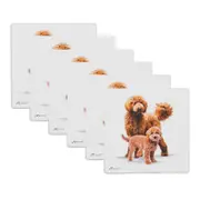 6PK Ashdene Puppy Love Groodle Ceramic Coaster Square 10x10cm Drink Pad/Mat
