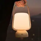 Roam Portable Table Lamp, 5W LED Cordless Rechargeable Lamp with Metal Handle...