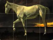 Art White Horse Sunset Ceramic Mural Backsplash Bath Tile #2187