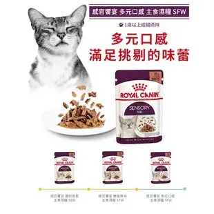 ✨ROYAL CANIN 法國皇家✨貓 餐包 85g 幼貓／成貓／老貓／泌尿道／體控／亮毛／化毛／感官饗宴｜皇家 一般