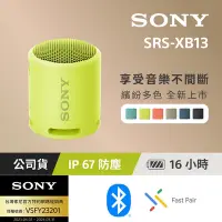 在飛比找Yahoo奇摩購物中心優惠-[SONY 索尼公司貨 保固365] SRS-XB13 防水