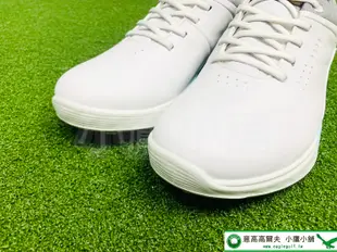 [小鷹小舖] ECCO M GOLF S-THREE 高爾夫 男仕球鞋 10292411007 無釘 提供防水性能