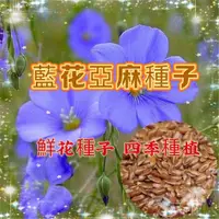 在飛比找蝦皮購物優惠-【買二送一】藍花亞麻種子 亞麻籽 春鞦播種多年生花種子蘭花 