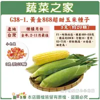 在飛比找Yahoo!奇摩拍賣優惠-【蔬菜之家滿額免運】 G38-1.黃金868超甜玉米種子3克