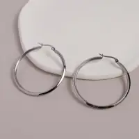 在飛比找momo購物網優惠-【MIESTILO】日冕｜白鋼耳環(歐美風格 圈圈耳環 抗敏