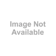 Electro Industries 4-8 Zone Extender EB-ZTS-1 & EB-ZES-1 Controllers