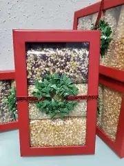 Wabash Valley Farms Holiday Mixed Popcorn Kernels Gift Set