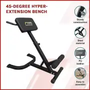 45-Degree Hyperextension Bench Home Gym Abdominal Lower Back Pain Equipment New