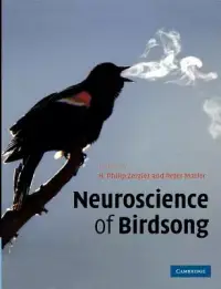 在飛比找博客來優惠-Neuroscience of Birdsong