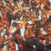 Sequin Navette Leaf 1.5" Orange Silver Bird Feathers Print Metallic
