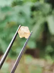 Natural Chrysoberyl Crystal - Rare Raw Gemstone for Collectors & Jewelry 1 crt