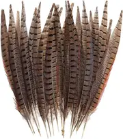 Yuzee 30 Pcs Natural Pheasant Feathers,DIY Pheasant Tails Feather,15-28 cm Soft Native Plume for Hair Hats Crafts Party Decoration Cosply Props,Nat...