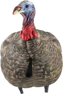 Avian-X LCD Quarter Strut Jake Lightweight Turkey Hunting Decoy - AVXAVX8003