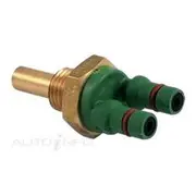 RAE Coolant Temperature Sensor - CS927