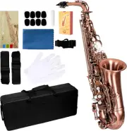 E Alto Saxophone for Beginner Students, Sax Full Kit with with Carrying Case, Mo