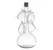 Davis & Waddell Fine Foods Set/5Pc Glass Port Flask and Sipper Clear 800ml/ 60ml