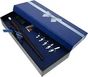 OHPHCALL Retro Fountain Pen Set Box Calligraphy Dip Pen Kit for Artists Teachers Elders