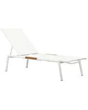 Pangea Home Set of 2 Dean Outdoor Loungers
