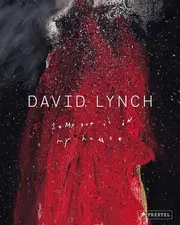 David Lynch Paperback Book