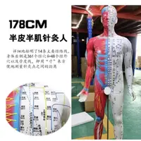 在飛比找蝦皮購物優惠-(MD-B_1046)178CM針灸銅人針灸模型人體模型人體