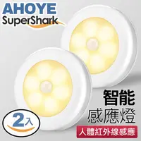 在飛比找PChome24h購物優惠-【美國SuperShark】智能6LED磁吸式感應燈(電池式