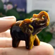 1pc Natural tiger's-eye hand carved elephant skull Quartz Crystal Healing gift