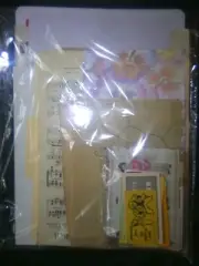 Ephemera Junk Journal Suprise Pack Authentic Vintage Content (Scrapbooking) 10oz