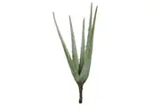 Rogue Artificial Aloe Vera Plant Fake Succulent Indoor Home Decor 54x21x20cm