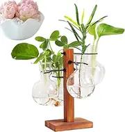 Desktop Plant Terrarium - Glass Planter with Stand, Glass Planter Bulb Vase | Desktop Hydroponics Air Planter Holder, Modern Plant Propagation Station for Hydroponics Home Garden Decoration