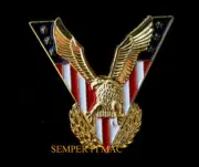 USA FLAG VICTORY BALD EAGLE JEWELRY HAT PIN US ARMY NAVY AIR FORCE MARINES USCG