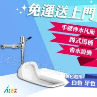 在飛比找Yahoo!奇摩拍賣優惠-ALEX 電光牌 AC5220 蹲式馬桶 蹲便 手壓沖水凡而