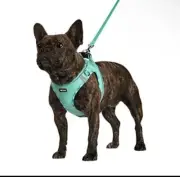 AMTOR Dog Harness with Leash Set,No Pull Adjustable Reflective Step-in Puppy L