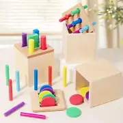 Wooden Color Shape Sorting Sorting Fine Motor Developmental Wooden Box Toy for