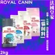 ROYAL CANIN 法國 皇家 幼貓/成貓 貓飼料 (K36 F32 IN27 UC33 S33) 2kg