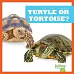 TURTLE OR TORTOISE?