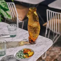 在飛比找松果購物優惠-DOIY 鸚鵡壺 玻璃冷水壺 花器 (10折)