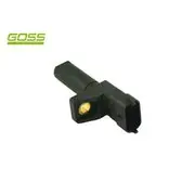 RAE Camshaft Position Sensor - SC542