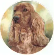 Cocker Spaniel Dog 1 pc 7-1/2" Waterslide Ceramic Decal