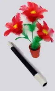 Flowers From Wand In Pot - Mini Flowers Magically Appear From Small Pot WATCH!!