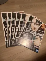 Attack on Titan Ichiban Lottery H Prize Captain Levi from japan 8