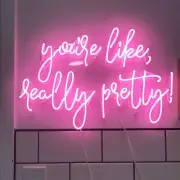 You're Like, Really Pretty Acrylic 20"x14" Neon Sign Light Lamp With Dimmer
