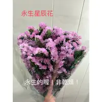 在飛比找蝦皮購物優惠-“Be a florist 花藝夢” 進口 永生星辰花 乾燥