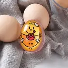 Egg Timer Indicator Soft-boiled Display Egg Cooked Degree Mini Egg Boiler Cooker