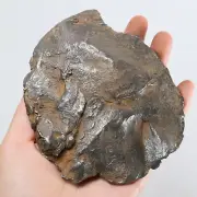 942g Gebel Kamil iron meteorite, Egypt, Space Gift, meteorite, specimen R1711