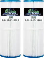 2 pack C-4326 Spa Hot Tub Filter Cartridge for PRB25-IN Filbur FC-2375 C4326