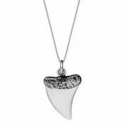 Sterling Silver Shark Tooth Pendant 925 Men's Necklace w/ Curb Chain - Silverly