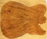 5A Telecaster Guitar Top Flame Golden Phoebe Wood Bookmatched Set Luthier Supply